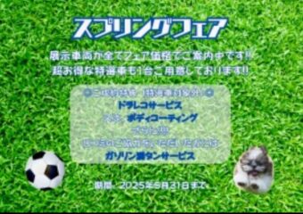 スプリングフェア開催中♪